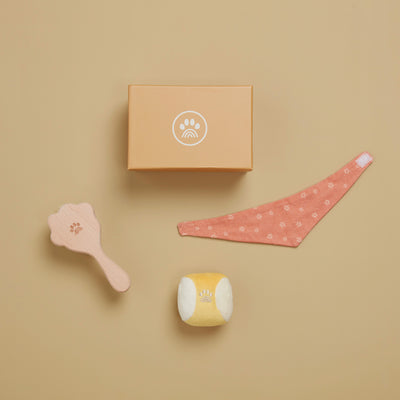 Dinkum Dogs starter set with gift box peach floral bandana plush magnetic ball and soft pink grooming brush for imaginative puppy play