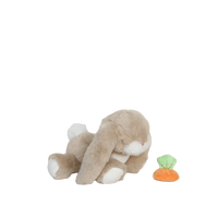 Plush toy rabbit with a carrot on a white background