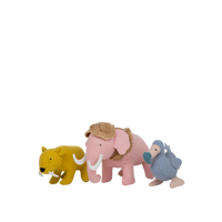 Holdie Set - Extinct Animals