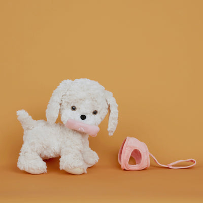 Dinkum Dogs - Cookie video