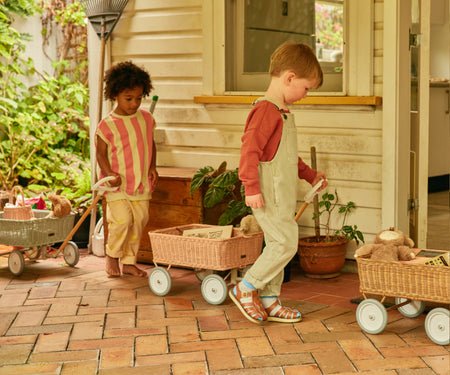 Dinkum Dolls UK EU Wonder Wagon