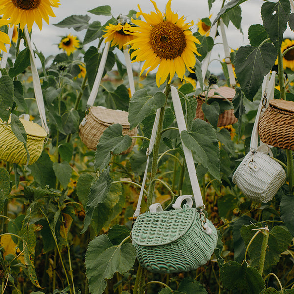 Mini Chari Rattan Bag - Mint